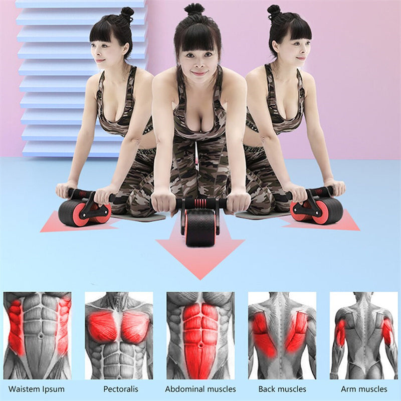 Double Wheel Abdominal